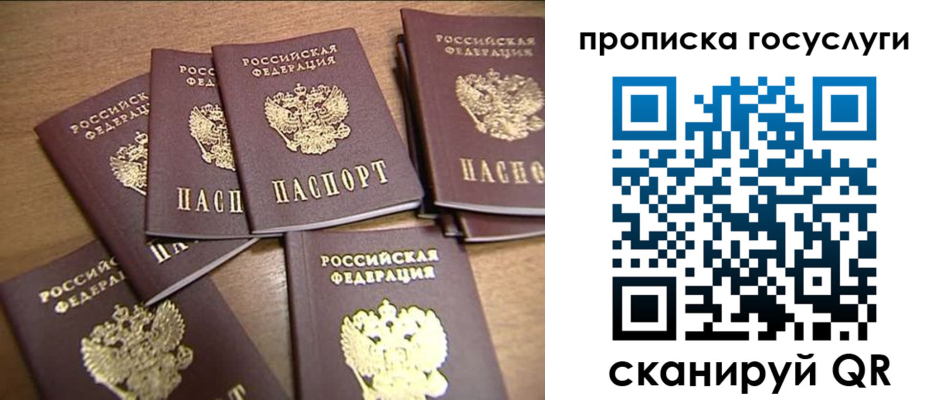 прописка ребенка в Благодарном